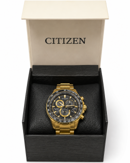 Citizen Watch